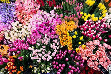 世嘉公布《VR战士3tb Online》街机 11.28.日本推出